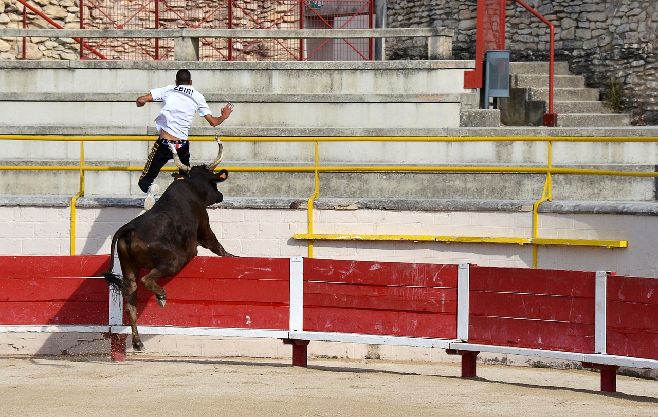 尤其是面对 尤其是面对